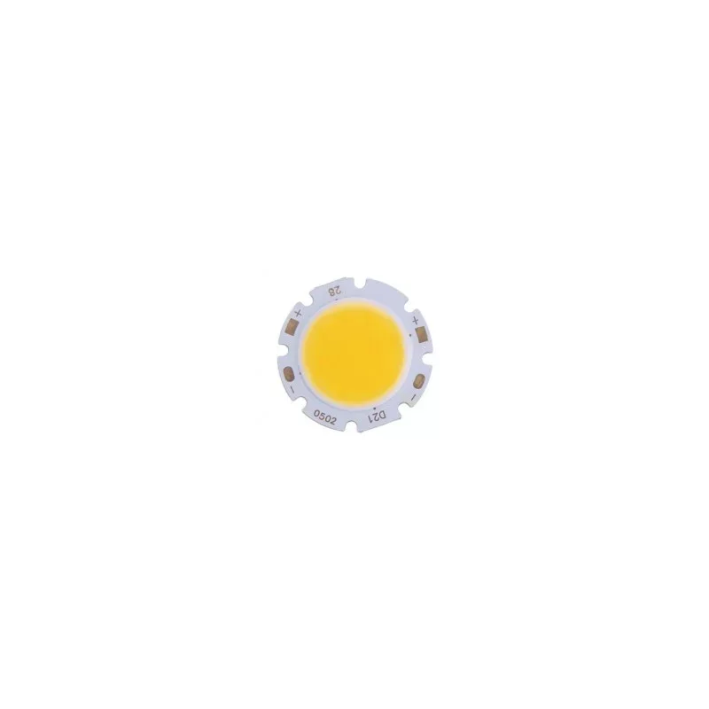 ampul-26161090