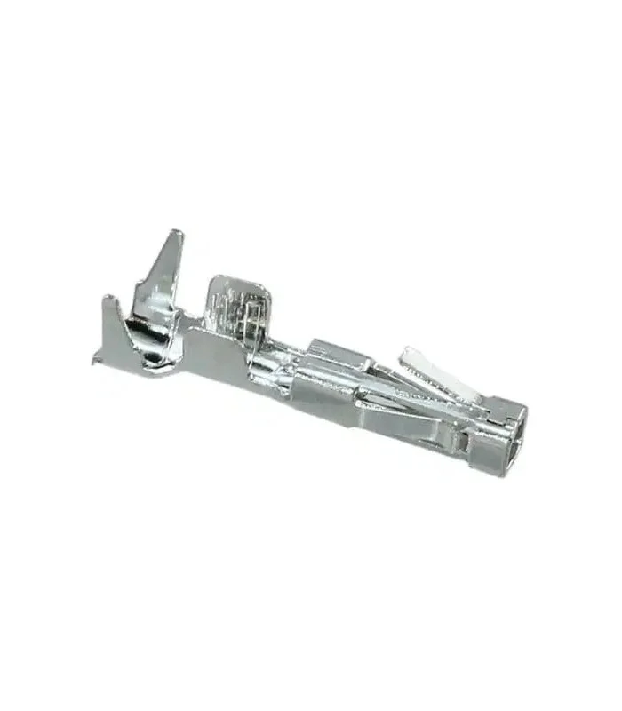 errebishop6009203