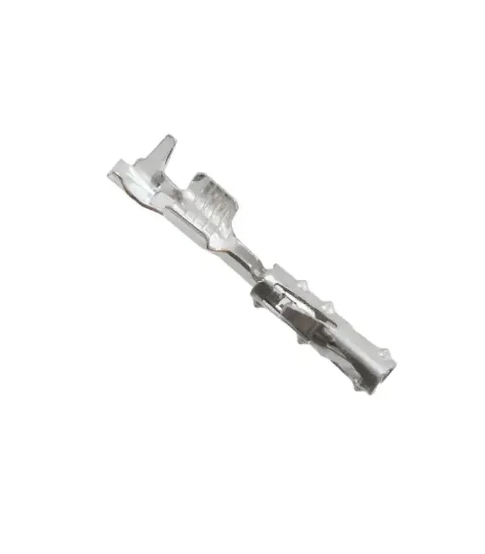 errebishop6027940