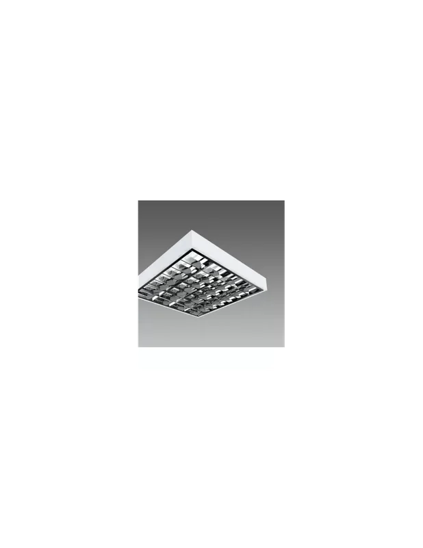 outletdellelettrico6090496